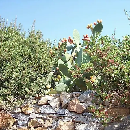 Sunny House With Amazing View For 4+2 Persons * Pláka